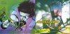 Kispál és a Borz - Kispálramix DVD borító FRONT Letöltése