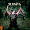 Szakasz (san2000) DVD borító CD1 label Letöltése