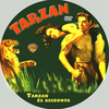 Tarzan és asszonya DVD borító CD1 label Letöltése