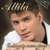 Tilinger Attila - Boldogság merre jársz DVD borító FRONT Letöltése