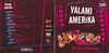 Valami Amerika DVD borító FRONT Letöltése