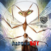 Hangya boy (G-version) DVD borító CD3 label Letöltése