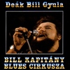 Deák Bill Gyula - Bill kapitány blues cirkusza DVD borító FRONT Letöltése