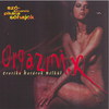 Spigiboy - Orgazmix DVD borító FRONT Letöltése