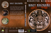 Veszélyes állatok - Nagy macskák DVD borító FRONT Letöltése