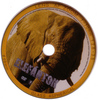 Veszélyes állatok - Elefántok DVD borító CD1 label Letöltése