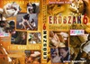Erõszak 6. DVD borító FRONT Letöltése