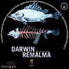 Darwin rémálma (postman) DVD borító CD1 label Letöltése