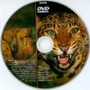 Ragadozók testközelben 11. - Leopárdok a Kalaháriban (slim) (gerinces) DVD borító CD1 label Letöltése