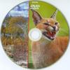 Ragadozók testközelben 12. - Karakálok a támaszponton(slim) (gerinces) DVD borító CD1 label Letöltése