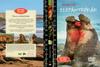 Ragadozók testközelben 20. - Harcos elefántfókák (slim) (gerinces) DVD borító FRONT Letöltése