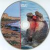 Ragadozók testközelben 20. - Harcos elefántfókák (slim) (gerinces) DVD borító CD1 label Letöltése