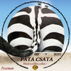 Pata-csata (Postman) DVD borító CD1 label Letöltése