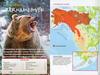Ragadozók testközelben 7. - Alaszkai barnamedvék (slim) (gerinces) DVD borító INSIDE Letöltése