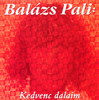 Balázs Pali - Kedvenc dalaim DVD borító FRONT Letöltése