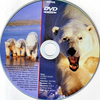 Ragadozók testközelben 6. - A jegesmedve börtönében (slim) (gerinces) DVD borító CD1 label Letöltése