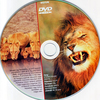 Ragadozók testközelben 4. - Oroszlánok között (slim) (gerinces) DVD borító CD1 label Letöltése