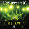 Depresszió - 3.14 Live DVD borító FRONT Letöltése