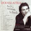 Dolhai Attila - Egy szerelem története DVD borító BACK Letöltése
