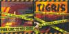 Tigris - sárga fekete DVD borító FRONT Letöltése