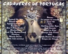 Cadaveres de Tortugas - Our Way/La Sangre No Miente - demo 96 DVD borító BACK Letöltése