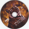 Vadvilág sorozat - A tigris DVD borító CD1 label Letöltése