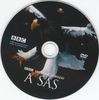 Vadvilág sorozat - A sas DVD borító CD1 label Letöltése
