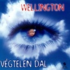 Wellington - Végtelen dal DVD borító FRONT Letöltése