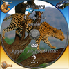 Discovery - A természet csodái 2. rész - A gepárd - A leggyorsabb vadász DVD borító CD1 label Letöltése