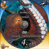 Discovery - A természet csodái 4. rész - Óriáspolip - A mélység különös lakói DVD borító CD1 label Letöltése