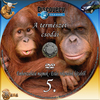 Discovery - A természet csodái 5. rész - Emberszabású majmok DVD borító CD1 label Letöltése