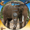 Discovery - A természet csodái 6. rész - Kandula - Az ázsiai elefánt DVD borító CD1 label Letöltése