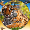 Discovery - A természet csodái 7. rész - Bengáli tigrisek Afrikában DVD borító CD1 label Letöltése