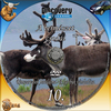 Discovery - A természet csodái 10. rész - Rénszarvasok birodalma - A karibuk ván DVD borító CD1 label Letöltése