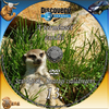 Discovery - A természet csodái 13. rész - Szurikáták - Sivatagi családregény DVD borító CD1 label Letöltése