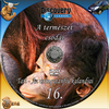 Discovery - A természet csodái 16. rész - Tati - Az orángutánfiú kalandjai DVD borító CD1 label Letöltése