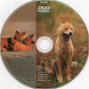 Ragadozók testközelben 16. - A titokzatos dingó DVD borító CD1 label Letöltése