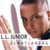 L.L. Junior - Álmatlanság DVD borító FRONT Letöltése