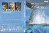 Vadvilág sorozat - A bálna DVD borító FRONT Letöltése