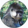 Vadvilág sorozat - A gorilla DVD borító CD1 label Letöltése