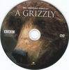 Vadvilág sorozat - A grizzly DVD borító CD1 label Letöltése