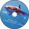 Vadvilág sorozat - A nagy fehér cápa DVD borító CD1 label Letöltése