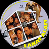 Lakat alatt (Old Dzsordzsi) DVD borító CD4 label Letöltése