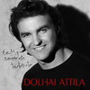 Dolhai Attila - Egy szerelem története DVD borító FRONT Letöltése