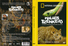 National Geographic - Halálos tizenkettõ (A föld legveszélyesebb állatai) DVD borító FRONT Letöltése