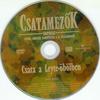 Csatamezõk - Csata a Leyte öbölben DVD borító CD1 label Letöltése
