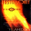 Testimony - Flaming DVD borító FRONT Letöltése