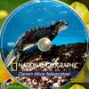 National Geographic - Darwin titkos feljegyzései (Pincebogár) DVD borító CD1 label Letöltése