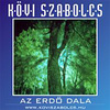 Kövi Szabolcs - Az erdõ dala DVD borító FRONT Letöltése