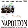 Napoleon Boulevard 3. DVD borító FRONT Letöltése